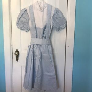 Wizard of Oz Dorothy costume